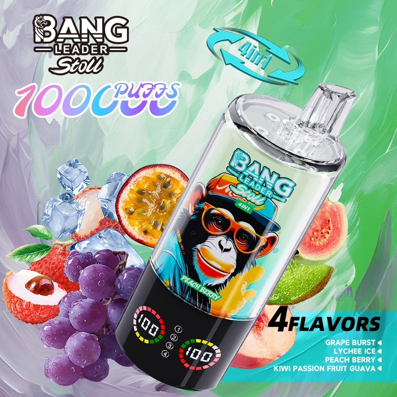 Bang Leader Stoll 100K Puffs Vape 3.Grape Burst & Lychee Ice & Peach Berry & Kiwi Passion Fruit Guava