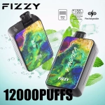 Fizzy Pandora 12000 Puffs LCD Screen Rechargeable Disposable Vapes