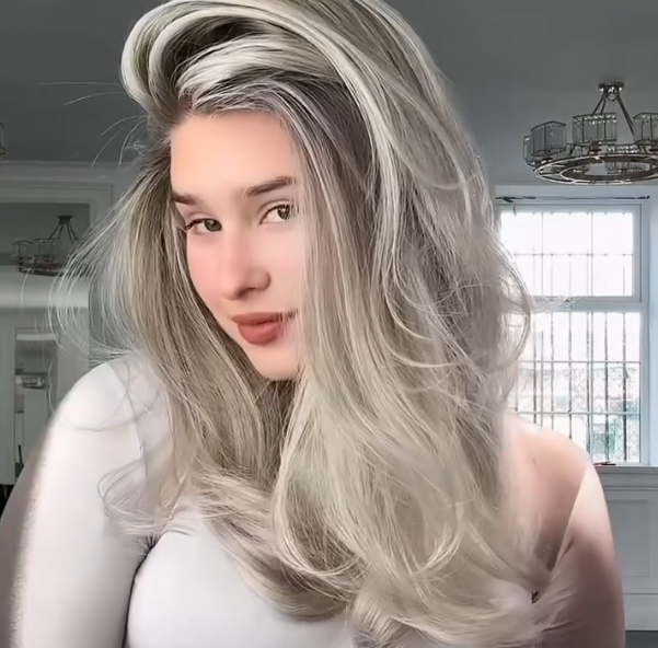 Transparent HD Lace Highlight Human Hair Wig