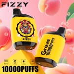 Fizzy Great 10000 Puffs Rechargeable Disposable Vapes