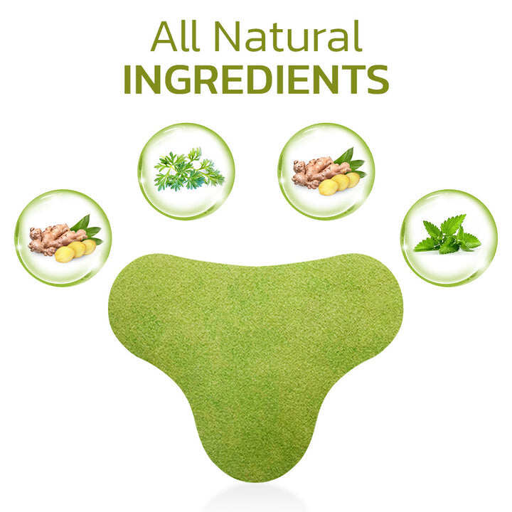 Wormwood tapaszcsomagok a nyaki fájdalom enyhítésére