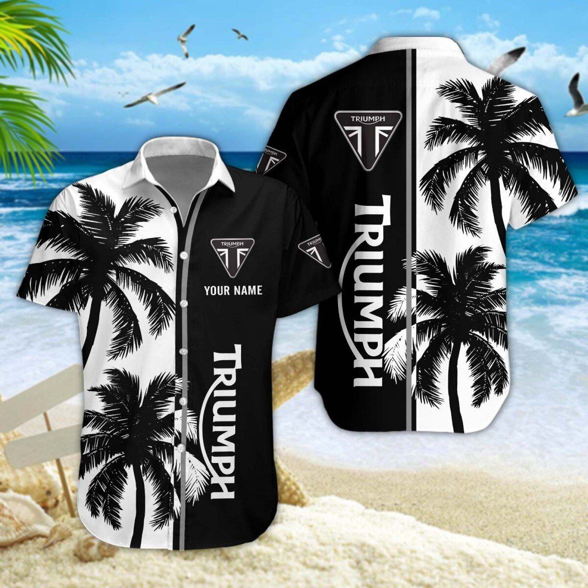 Triumph Motocicloss WINQ90046