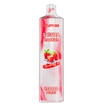 VAPME SHISHA Hookah 15000 Puffs Disposable Vape