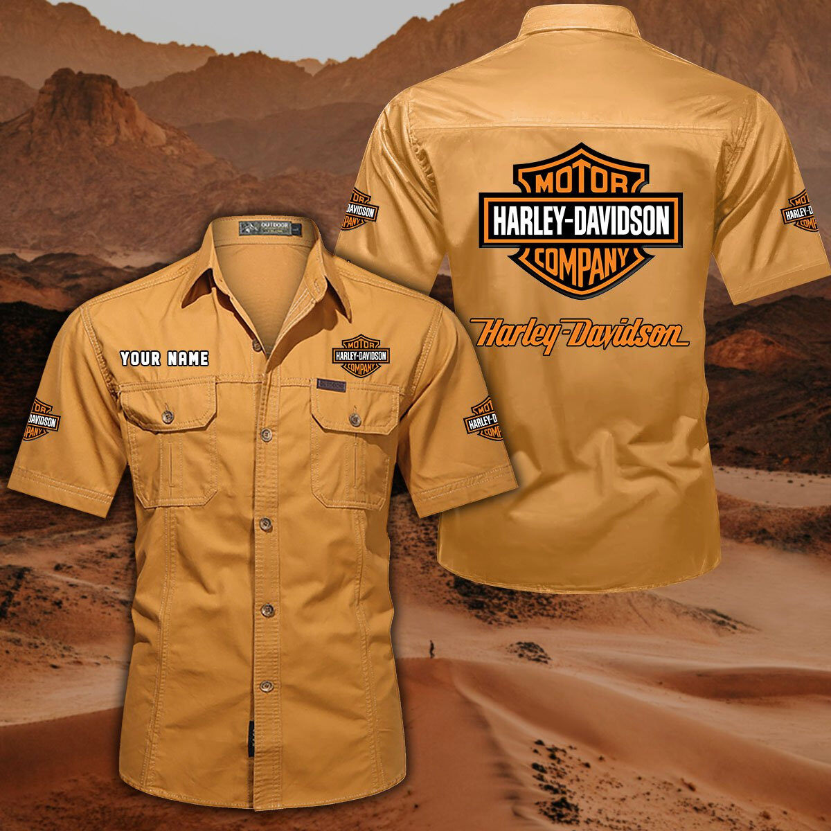 Harley-Davidson DDQQB10043