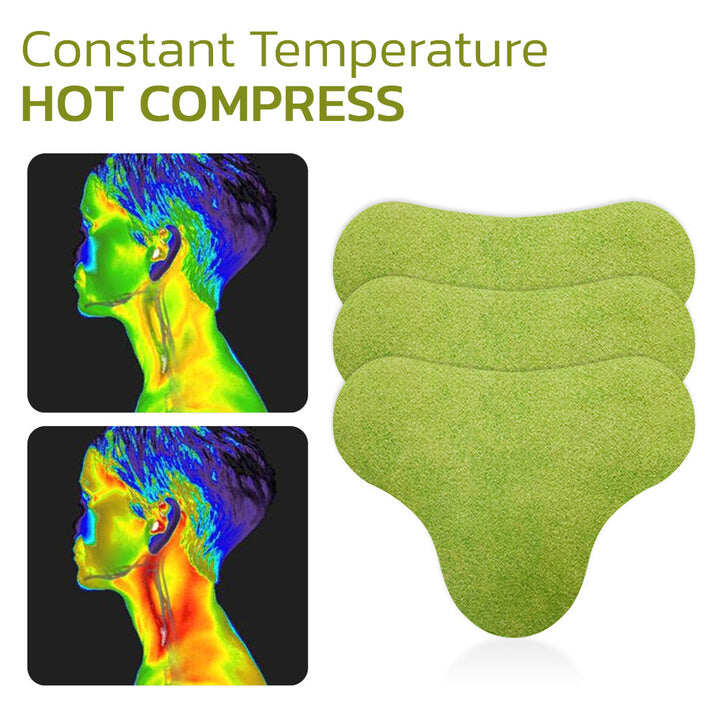 Wormwood tapaszcsomagok a nyaki fájdalom enyhítésére