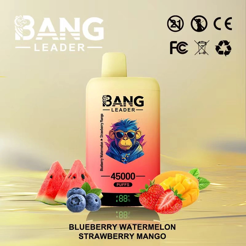Bang Leader 45K Puffs Disposable Vape Blueberry Ice & Black Dragon Ice
