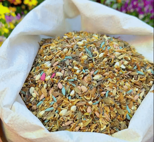 🔥ÚLTIMO DIA DE DESCONTO💝SEMENTES DE FLORES PERENES MISTAS - MAIS DE 60 TIPOS DE MISTURAS