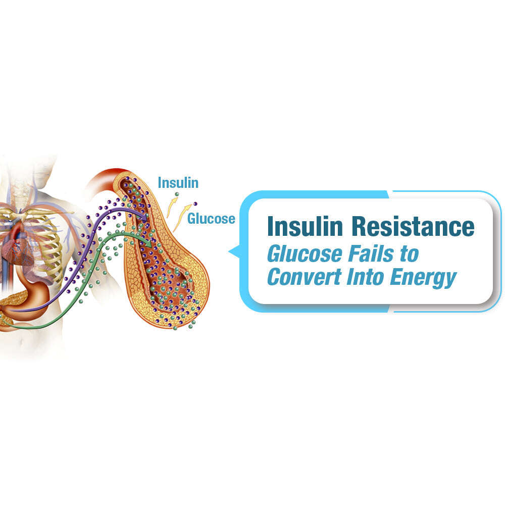 GFOUK™ SucrosePro йонен баланс гривна