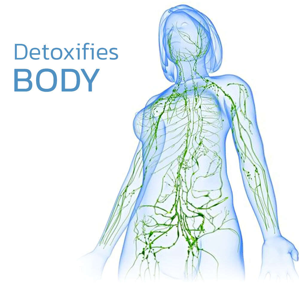 КОМПЛЕКТ EMS PULSE NECKOLOGY LYMPHVITY MASSAGER