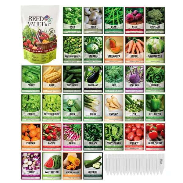 Kit de cofre de sementes de vegetais | Pacote com 35 variedades