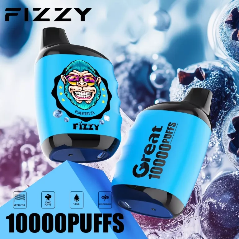 Fizzy Great 10000 Puffs Rechargeable Disposable Vapes