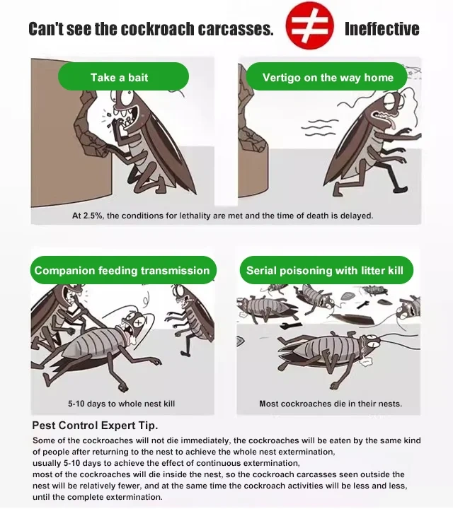 【5 caixas/10 caixas】Remendo de gel forte para matar baratas