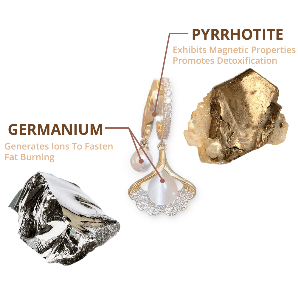 BRINCOS FLYSMUS™ МАГНИТЕРАПИЯ ГЕРМАНИЙ ДЕТОКС