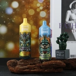 9000 puffs 18ml disposable vape