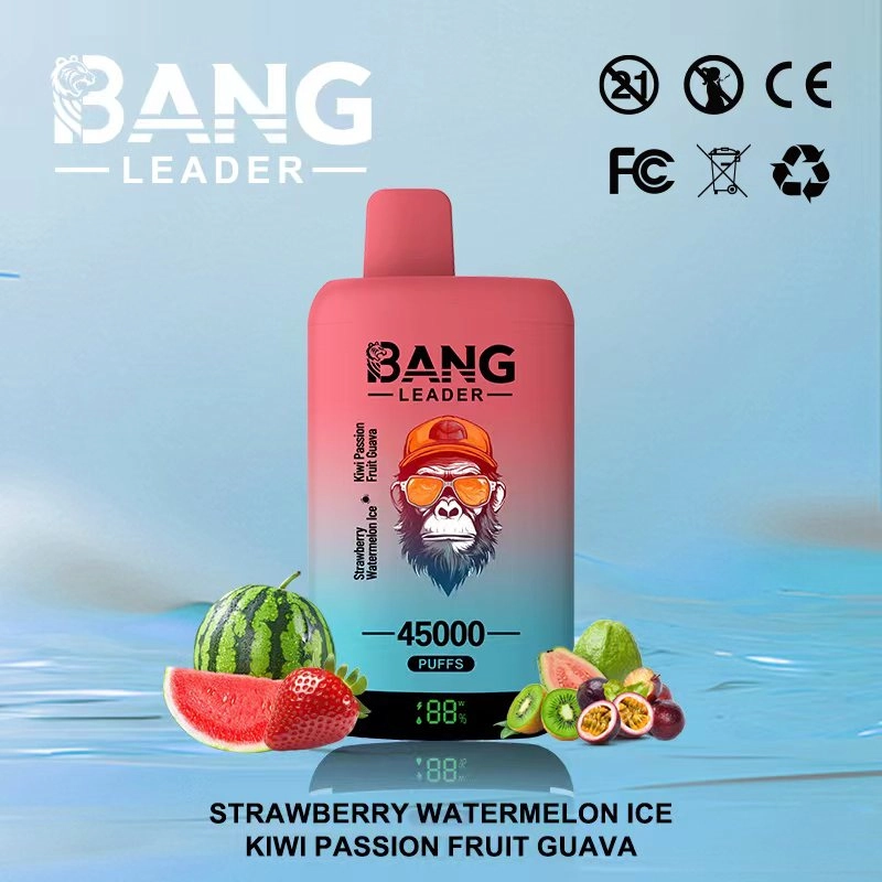 Bang Leader 45K Puffs Disposable Vape Pineapple Ice & Triple Mango