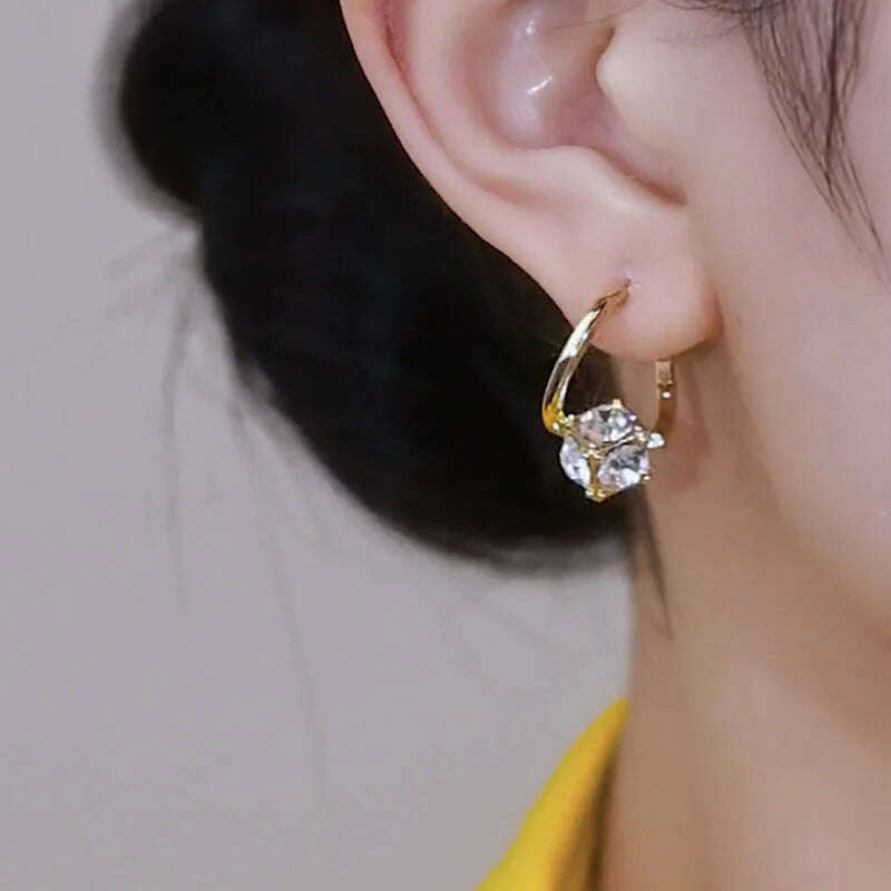 CZTICLE™ Lymfekracht MagneTherapie Germanium-0hrringe(🔥СПЕЦИАЛНА РАЗПРОДАЖБА В ПОСЛЕДНИЯ ДЕН - 80% RABATT)🌺