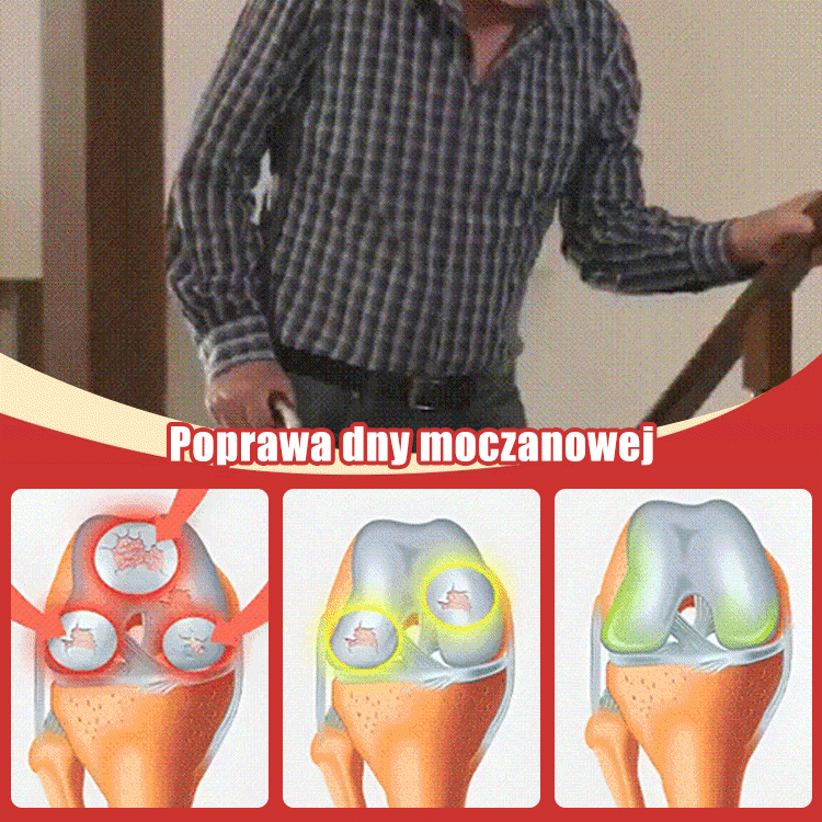 Sementes de cereja chilenas importadas