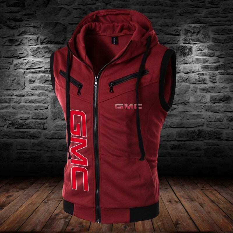 GMC Car WINSLVET10117