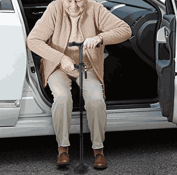 Bengala SecureStride