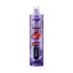 FIHP Shisha 15000 Puffs Hookah Vape Strawberry Kiwi