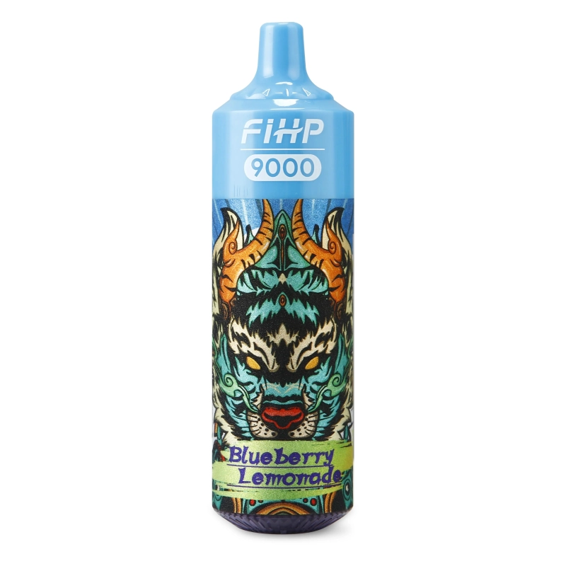 fihp 9000 puffs Cool Mint