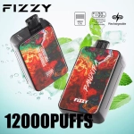 Fizzy Pandora 12000 Puffs LCD Screen Rechargeable Disposable Vapes