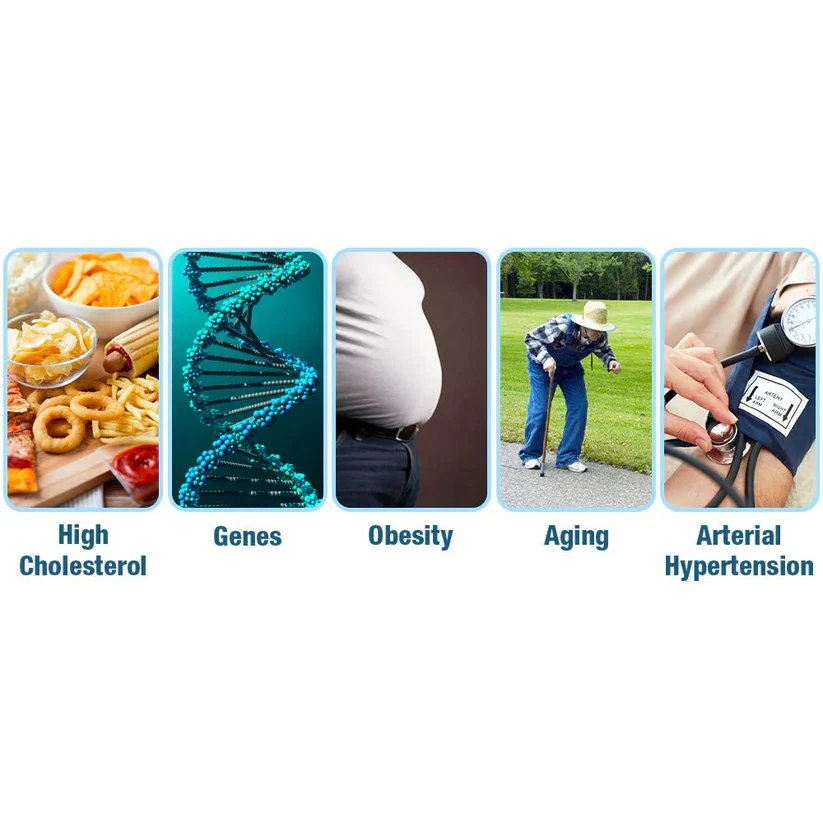 Fivfivgo™ GlycoWave elektromos impulzuskészülék