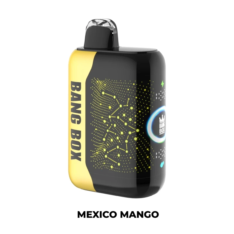 Bang Box TURBO 42000 Puffs MIAMI MINT
