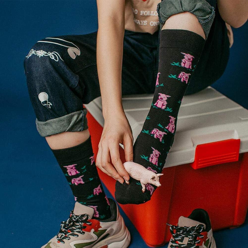 Meias coloridas divertidas