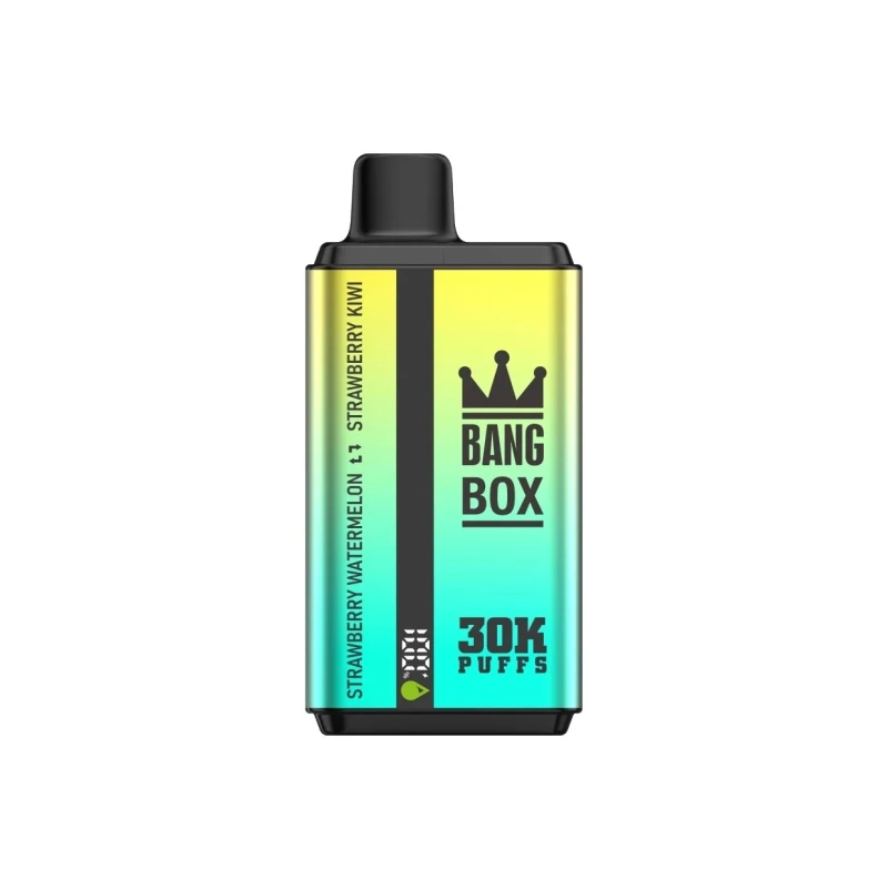 Switchable Flavor Disposable Vape 30K Puffs