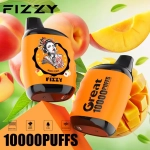 Fizzy Great 10000 Puffs Rechargeable Disposable Vapes