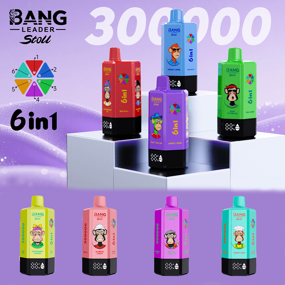 Bang Leader Stoll 300000 Puffs 6 in 1 Disposable Vape 0% 2% 3% 5% Nicotines 12Flavors Ultra Long Performance Smart Screen FDVape Factory Wholesale