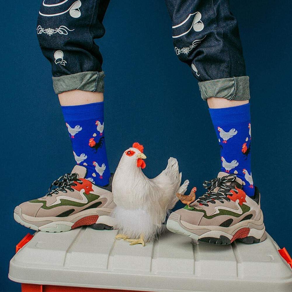 Meias coloridas divertidas