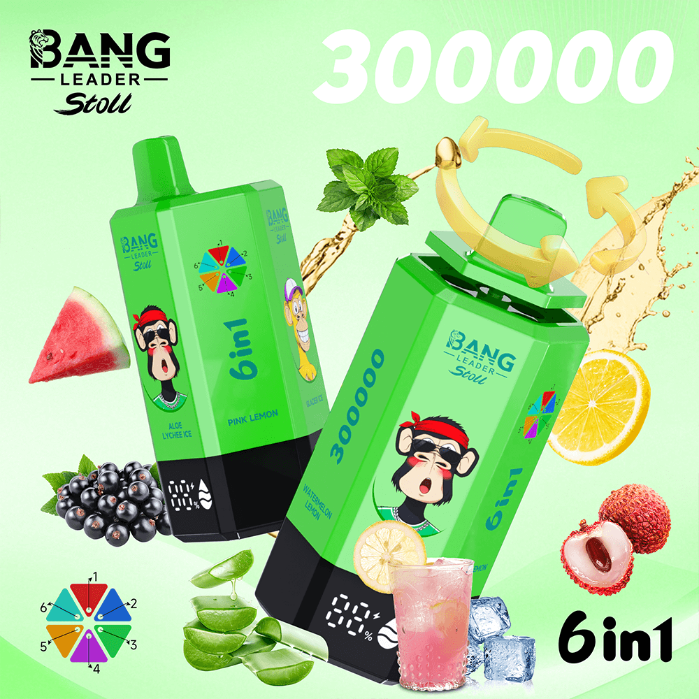 Bang Leader Stoll 300000 Puffs 6 in 1 Disposable Vape 0% 2% 3% 5% Nicotines 12Flavors Ultra Long Performance Smart Screen FDVape Factory Wholesale