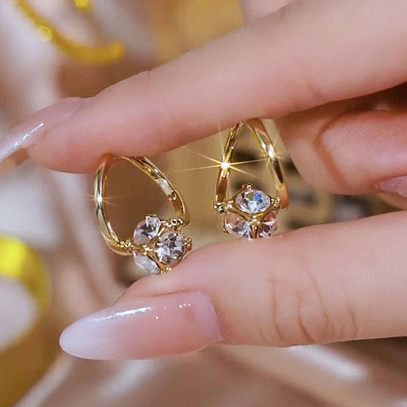 CZTICLE™ Lymfekracht MagneTherapie Germanium-0hrringe(🔥СПЕЦИАЛНА РАЗПРОДАЖБА В ПОСЛЕДНИЯ ДЕН - 80% RABATT)🌺