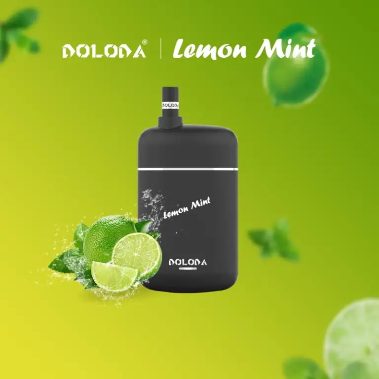 DOLODA Pebble 6500 Puffs Rechargeable Disposable Vape Random Option (fast delivery)_7