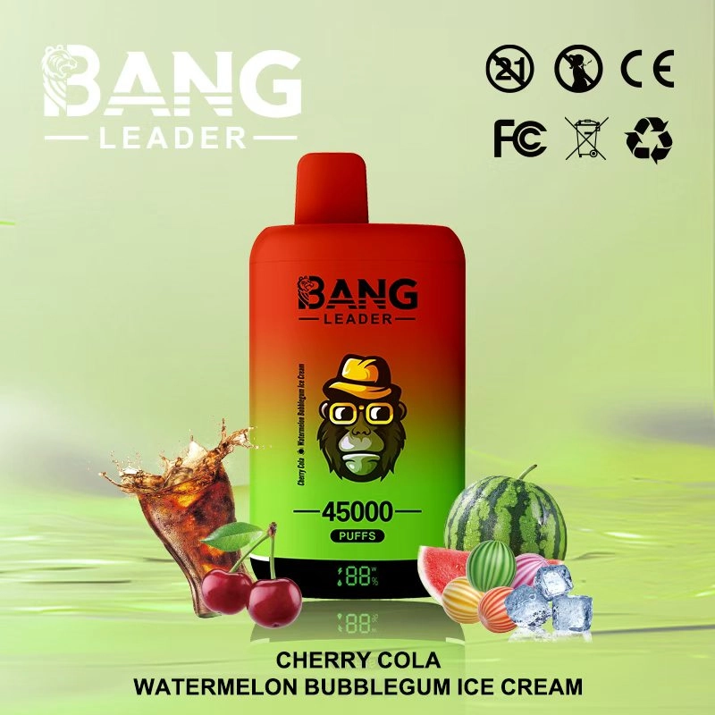 Bang Leader 45K Puffs Disposable Vape Strawberry Kiwi & Peach Ice
