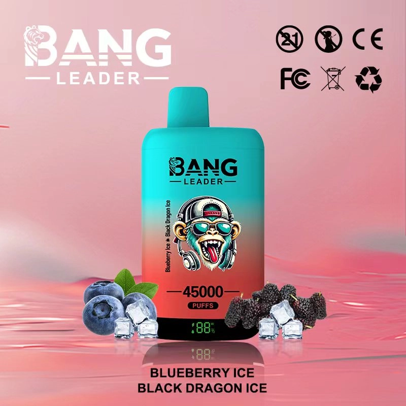 Bang Leader 45K Puffs Disposable Vape Strawberry Ice Cream & Pink Lemon Ice