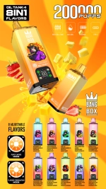 8 Flavors in 1 Rechargeable Disposable Vape