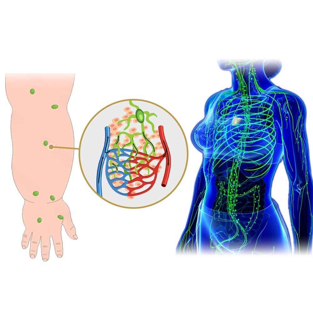 flysmus™  GEMGEMINI МАГНИТНА ГРИВНА