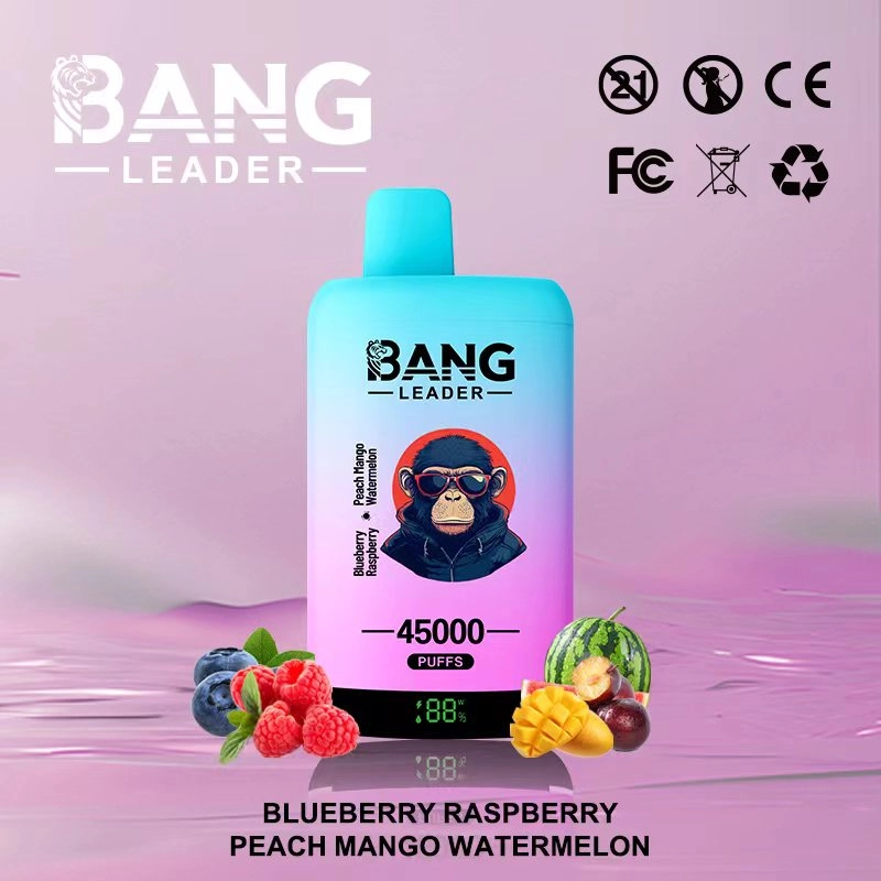 Bang Leader 45K Puffs Disposable Vape Blueberry Watermelon & Strawberry Mango