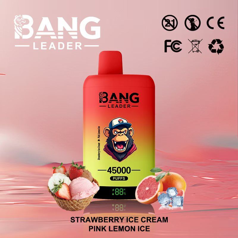 Bang Leader 45000 45k Puffs