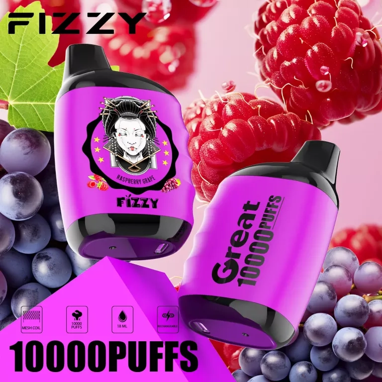 Fizzy Great 10000 Puffs Rechargeable Disposable Vapes