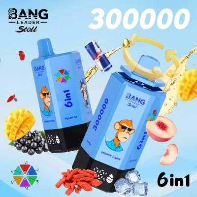 Bang Leader Stoll 300000 Puffs 6 in 1 Disposable Vape 0% 2% 3% 5% Nicotines 12Flavors Ultra Long Performance Smart Screen FD Vape