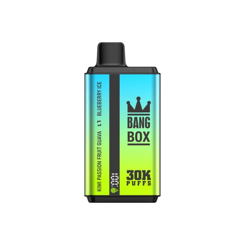 30000 Puffs 2-in-1 Disposable Vape