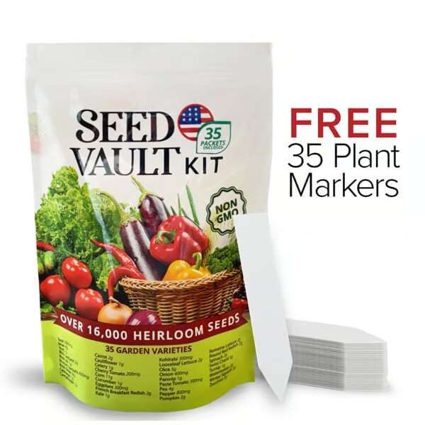 Kit de cofre de sementes de vegetais | Pacote com 35 variedades
