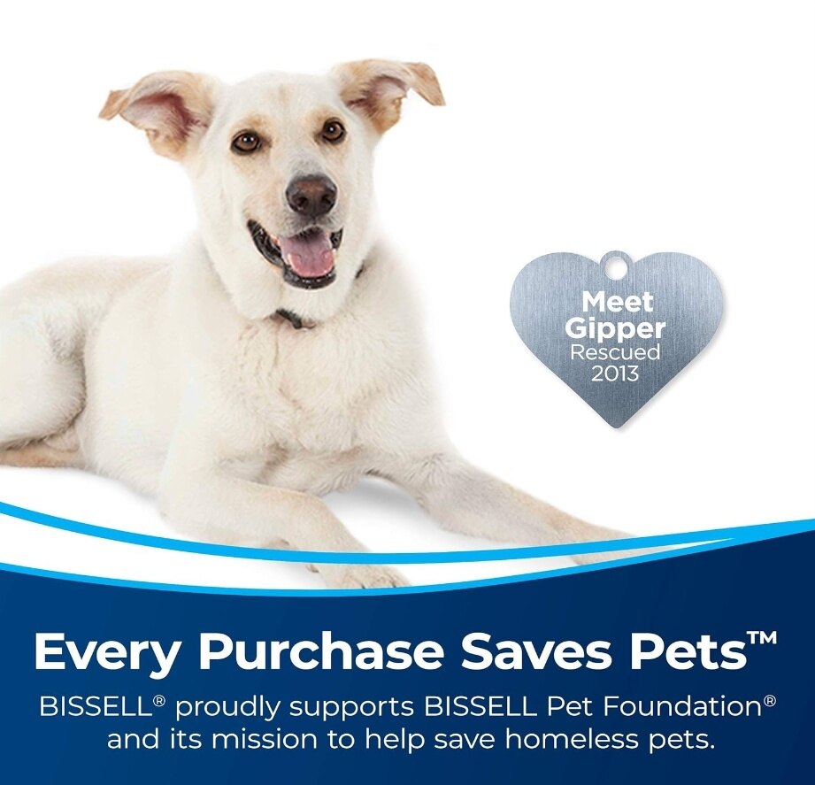 Quase esgotado! ! 💝Último dia de promoção, ✨Cabeça de aspirador sem fio com display luminoso