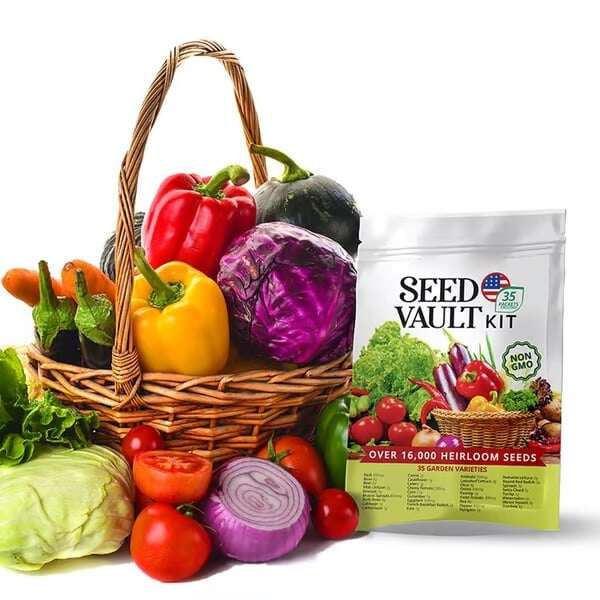 Kit de cofre de sementes de vegetais | Pacote com 35 variedades
