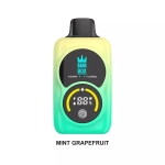 Low Nicotine Disposable Vape 0% 2% 3% 5%