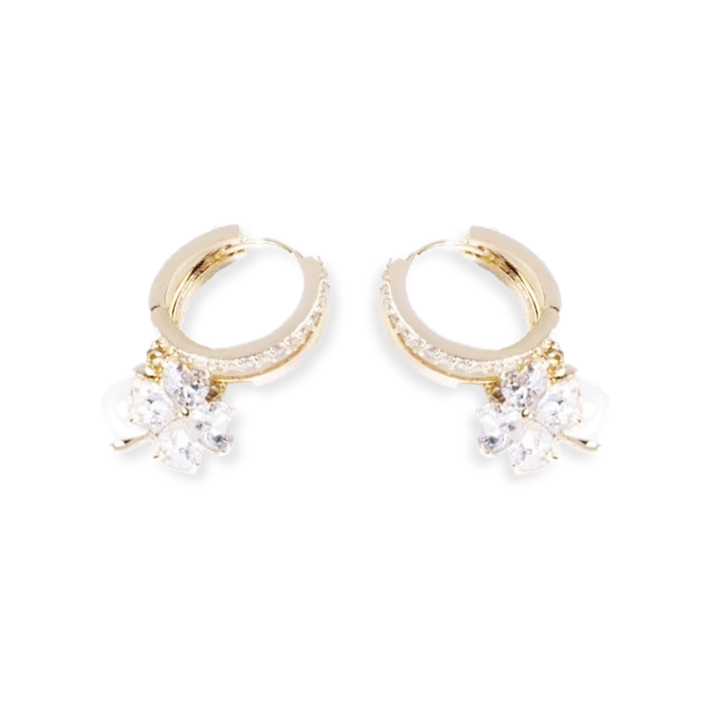 BRINCOS FLYSMUS™ ALEMANHA MAGNETERAP LYMPHVITY